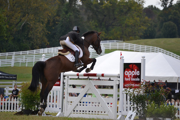Kate Chadderton show jumping